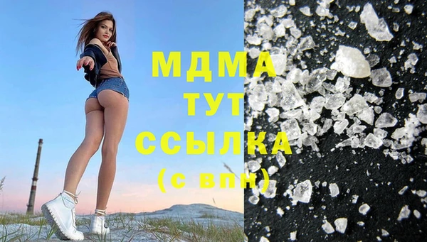 стаф Алзамай
