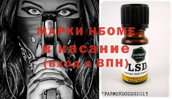 стаф Алзамай