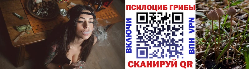OMG ссылка  Невинномысск  Псилоцибиновые грибы Psilocybe 