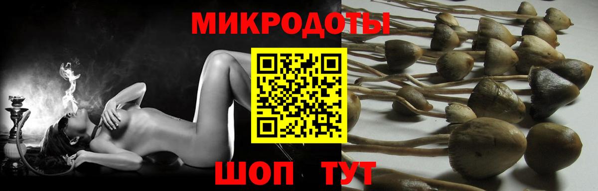 Галлюциногенные грибы Psilocybe  Вход с VPN  Невинномысск 